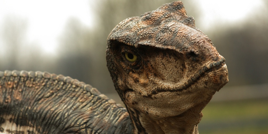 dinozor, jurassic park, tirex, raptor
