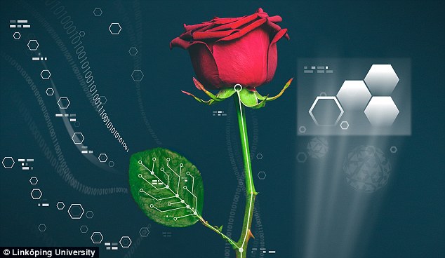 2EA6C28800000578-3327793-This_research_h...309479.jpg