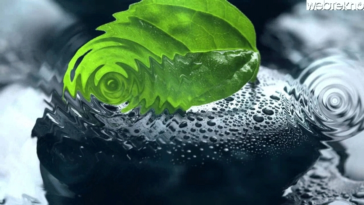 Naturesoundsfor.me Naturesoundsfor.me