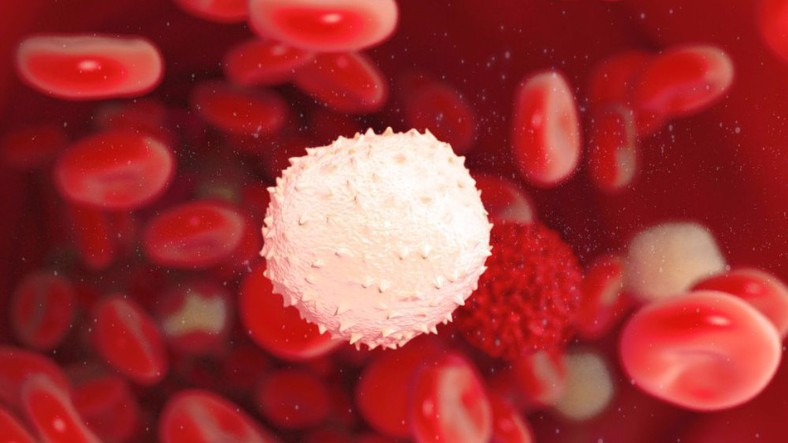 Ölümcül Bir Kan Kanseri Çeşidi İçin Ümit Verici Yeni Tedavi