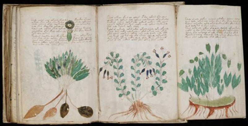 Voynich Yazıtları