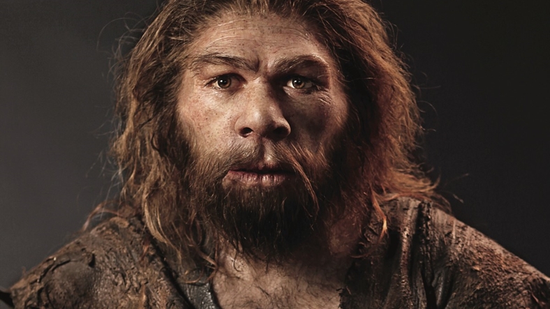 Neandertal beyni insan beyninden büyüktü