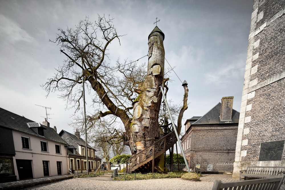 İçinde tapınak bulunan 100 yaşındaki meşe ağacı, Fransa