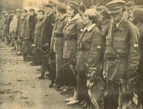 Sovyet Bombacı Köpekler