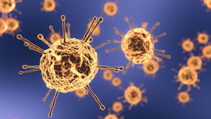 Bilim İnsanları, Erkek Üreme Sisteminin COVID-19'a Karşı 'Riskli Organ' İlan Edilmesini İstedi