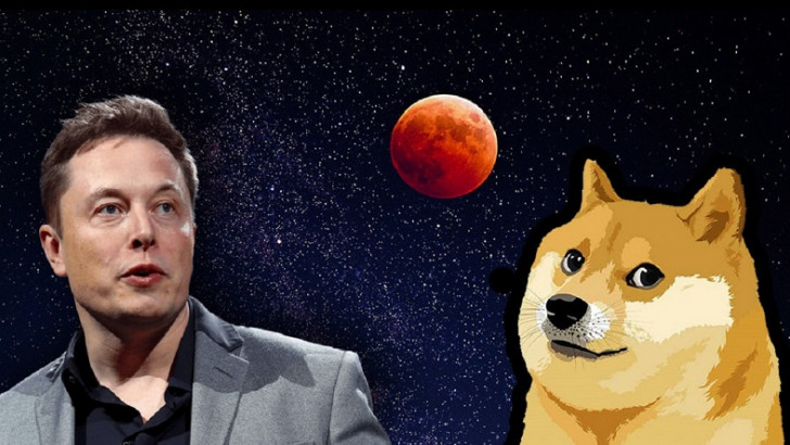 Elon Musk, Twitter'da 'Geleceğin Para Birimi' Anketi Başlattı