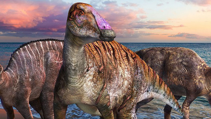 İki Ayaklıdan Dört Ayaklıya Evrime İşaret Eden Yeni Bir Dinozor Türü Keşfedildi