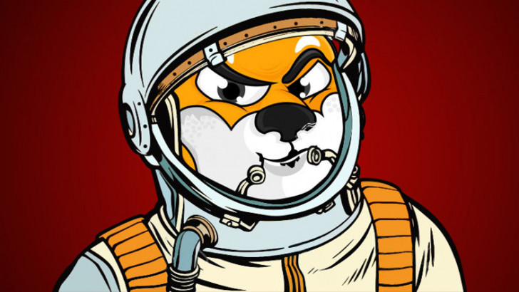 ‘DOGE Katili’ Shiba Inu (SHIB) Yerli Borsa ICRYPEX'te: TL ile Shiba Nasıl Alınır?