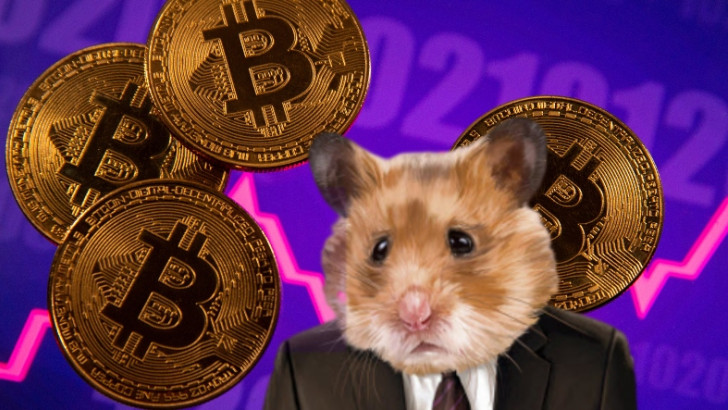Ratatouille 2: Bir Hamster, Kripto Ticaretinde Devleri Gölgede Bıraktı