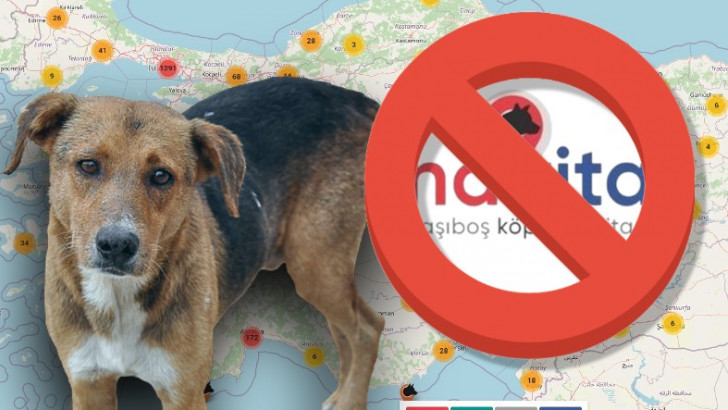 'Havrita'ya Mahkeme Kararıyla Erişim Engeli Getirildi