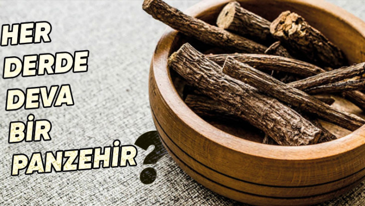 Modern Tıbbın Gelişmediği Dönemde Medeniyetlerin 'Mucize İlaç' Olarak Kullandığı Doğa Harikası Bitki: Meyan Kökü Nedir, Ne İşe Yarar?