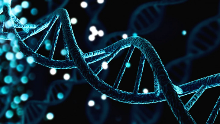 Kişiselleştirilmiş Kanser Tedavisinde Büyük Adım: CRISPR Tedavisi Klinik Testleri Başarıyla Geçti