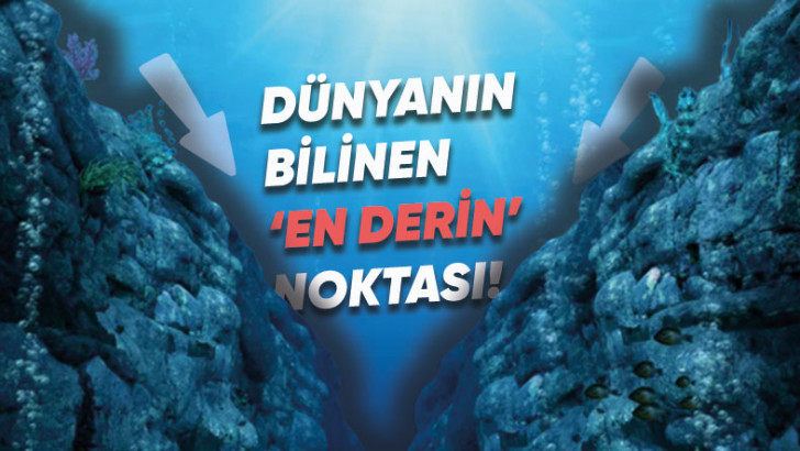'Mariana Çukuru' Hakkında 10 Enteresan Gerçek: En Dibine İnsek Nelerle Karşılaşırdık?