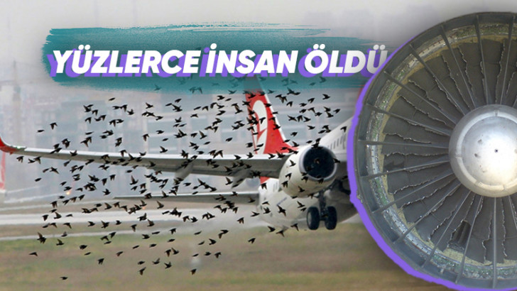 Devasa Bir Uçak Motoru Nasıl Oluyor da Küçücük Bir Kuşun Çarpmasıyla Bile Bozulabiliyor?