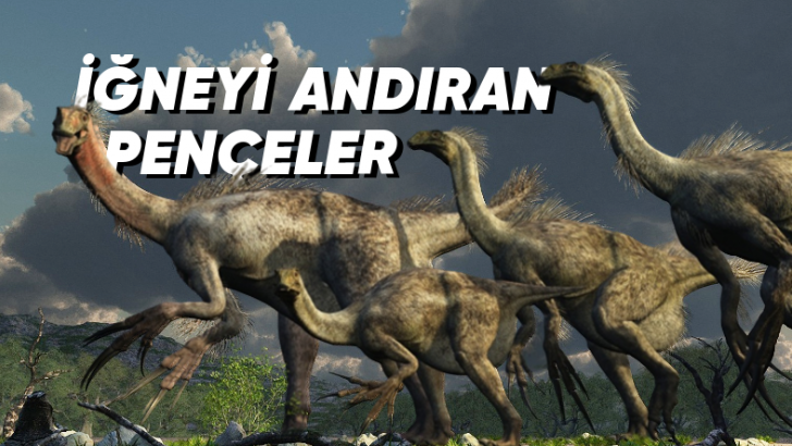 Bazılarını Jurassic Park'ta Bile Görmediğiniz Birbirinden İlginç Dinozor Türleri: Torunları Hala Hayatta!