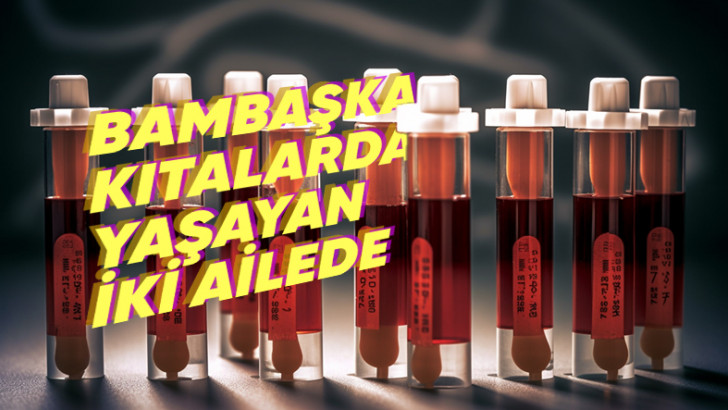 Tuhaf Bir Şekilde Dünyada Yalnızca İki Ailede Bulunan Kan Grubu: Sara