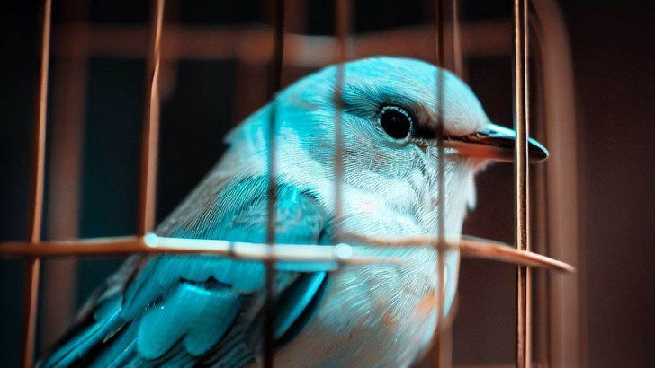 Twitter'dan Seçim Öncesinde Türkiye Hakkında Kritik Bir Açıklama Geldi