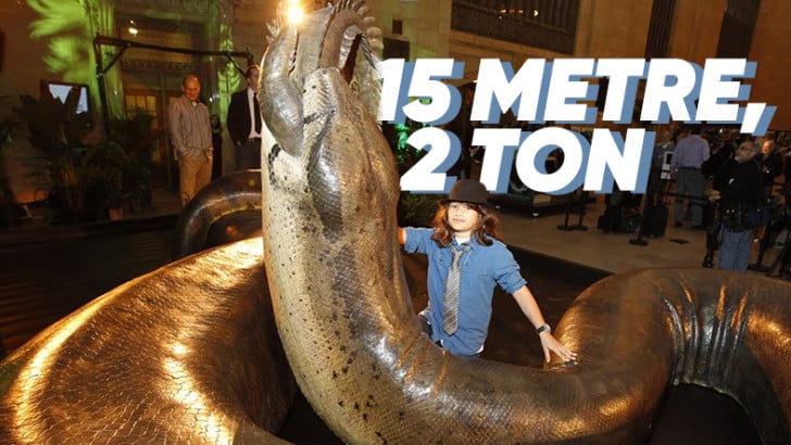 Onu Hayal Etmeniz Bile Ürpermenize Yetiyor: Tek Lokmada Bir İnsanı Yutabilecek Olan Titanoboa Hakkındaki Ürkütücü Gerçekler