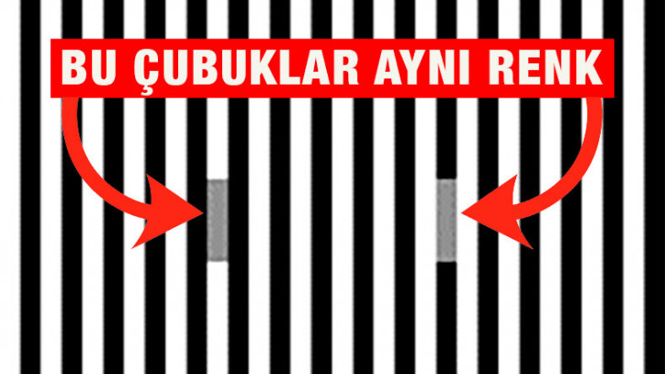 Optik İllüzyonların Bizi Nasıl Kandırdığı Ortaya Çıktı: Tongaya Düşen Aslında Beynimiz Değilmiş!