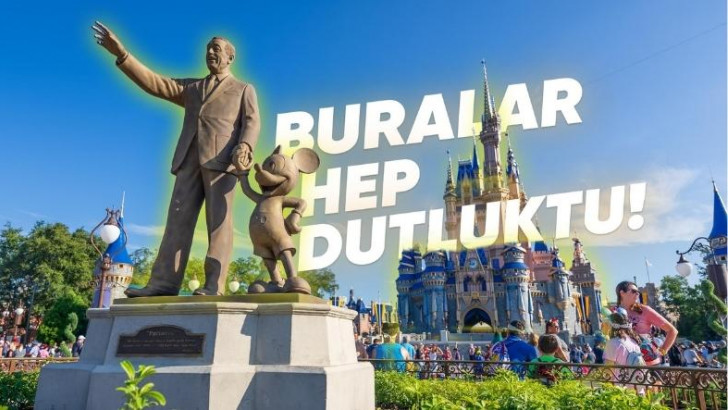Disney'in Çok Büyük Paralar Dökerek Satın Aldığı Tüm Şirketler: Hiç Tahmin Etmediğiniz İsimler Var!