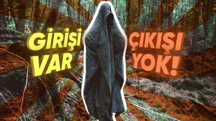 Japonya'da İçine Girenlerin Büyük Olasılıkla İntihar Etmeden Dönmediği Orman: Aokigahara