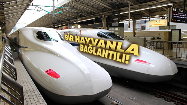 Japonya'nın, Yüksek Hızlı Trenlerin Ön Kısmını Uzatma Nedenini Öğrenince Mühendislerine Büyük Saygı Duyacaksınız