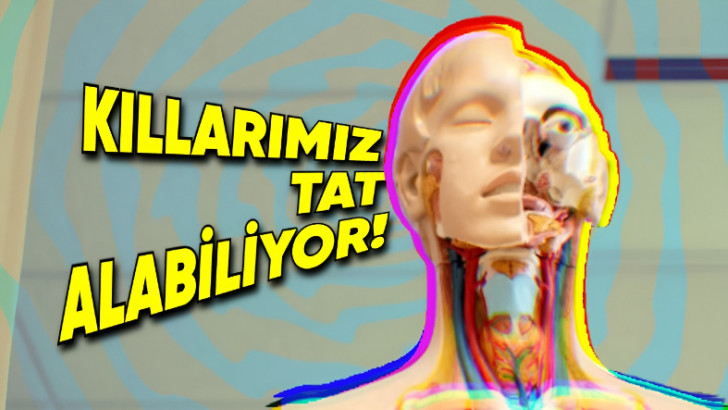 Biyoloji Dersinde Hiçbir Şey Öğrenmemişiz: Bu Bilgileri Duyduktan Sonra Vücudunuza Farklı Bir Gözle Bakmaya Başlayacaksınız!