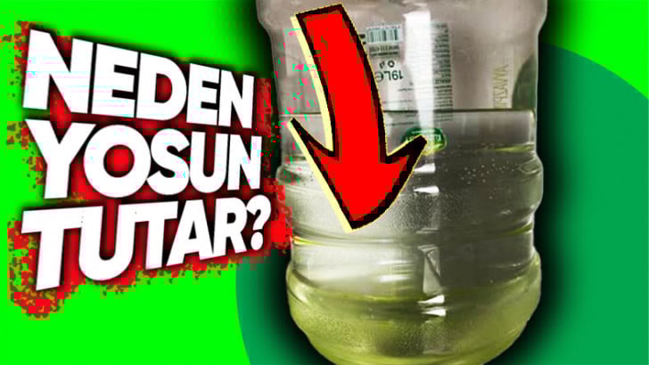 Damacananın Neden Yeşillendiğine Anlam Veremeyenler Toplansın! Su Madem Saf, Neden Bekleyince Yosun Tutuyor?