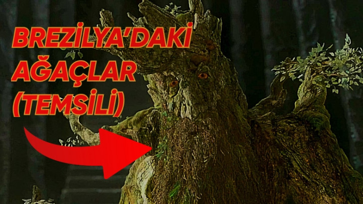 Brezilya'da Ormanlar, Küresel Isınma Yüzünden Tepelere Göç Etti (Ne?)