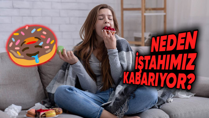 Yazın Diyet Yapanlar Seri Üzgün: Kışın Daha Fazla Yemek Yeme İsteğimizin Altındaki Sebepleri Açıklıyoruz