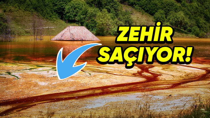 Korku Filminden Farksız: Yüzlerce Ailenin Yaşadığı Romanya’daki Geamana Köyü'nün Tüm Yaşamın Yok Olup Zehir Saçan Bir Göl Hâline Geldiği İlginç Hikâye
