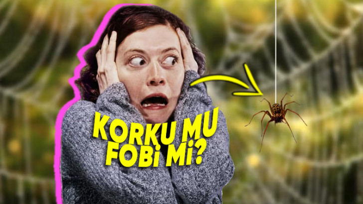 Düşününce Aynı Şeylermiş Gibi Duran Korku ve Fobinin Birbirinden Farkı Ne?