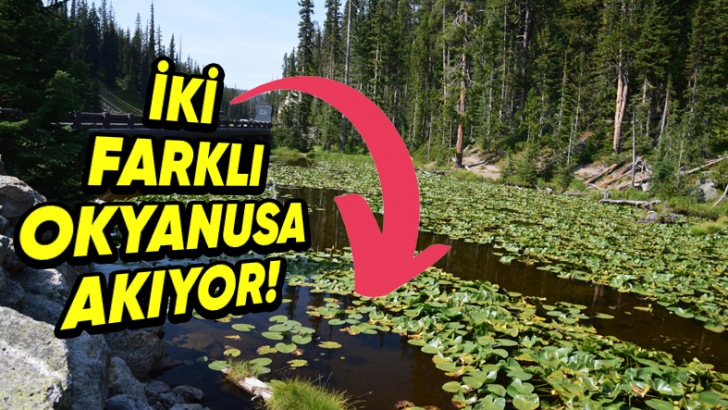 Hem Atlas Hem de Pasifik Okyanusu'na Akan Dünya'nın Tek Gölü Isa: Peki Daha Farklı Hangi Özelliklere Sahip?