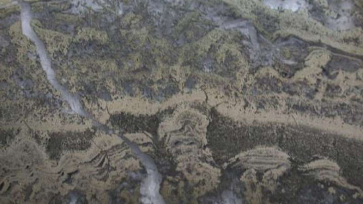 3.5 Milyar Yıl Öncesine Ait, Tarihin En Eski Yaşam Belirtilerine Ulaşıldı
