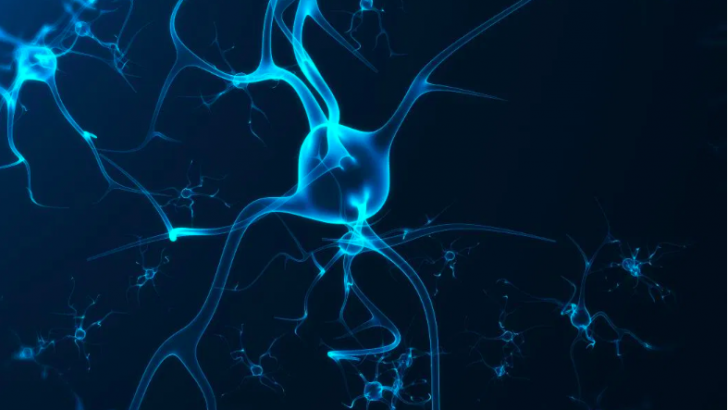 Parkinson Hastalarında Demansla Savaşı Kolaylaştırabilecek Bir Gen Bulundu