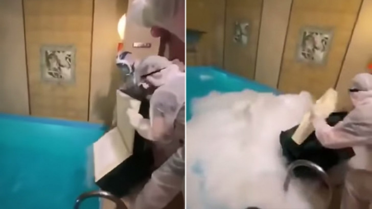 Instagram Fenomeninin Doğum Günü Partisinde 'Kuru Buz' Faciası: 3 Ölü, 7 Yaralı