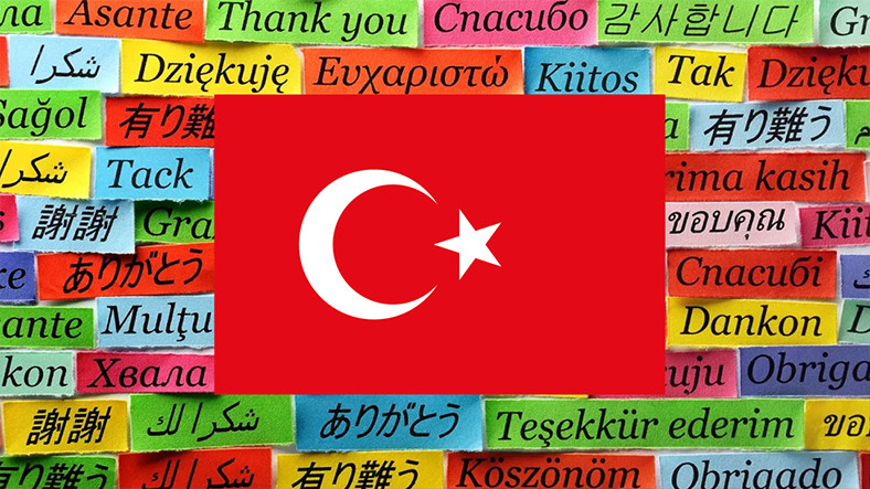 turkcenin tarih boyunca etkilesime girdigi diller