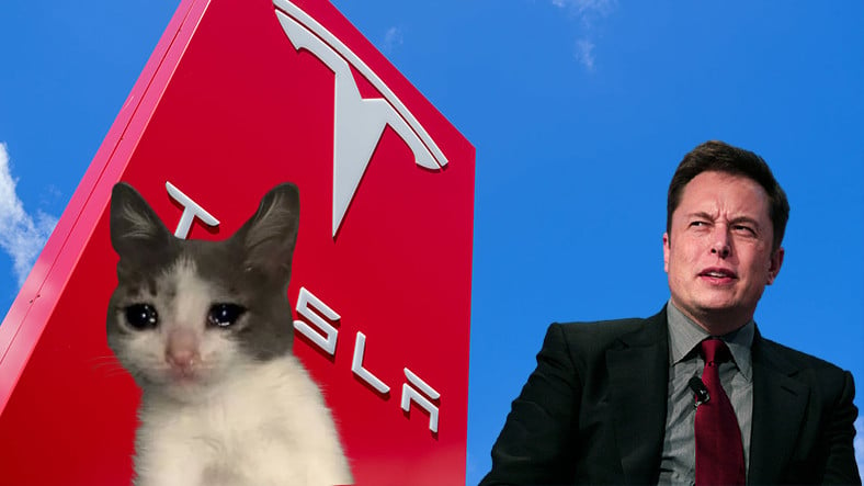 Tesla’dan Şaşırtan Sonuç: Dünyanın En Güvenilen Otomobil Markaları Belli Oldu