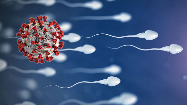 Koronavirüsün Sperm Sayısı ve Kalitesine Korkutan Etkisi Açıklandı