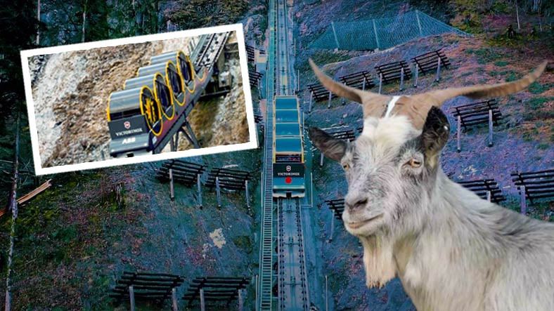 Dağ Keçisi Gibi: Dünyanın En Dik Demiryoluna Sahip Silindirik Trenin İlginç Çalışma Şekli