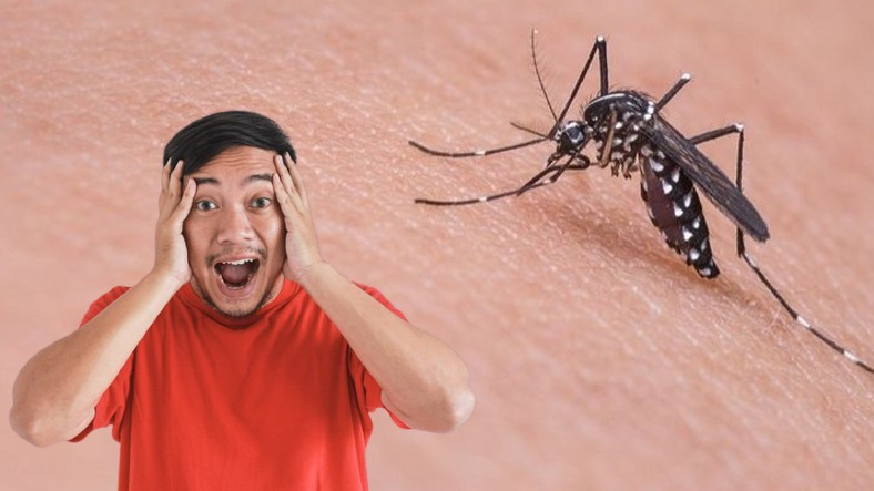 Sivrisineklerin Avlayacakları İnsanları Giydikleri Renklere Göre Seçtiği Keşfedildi: Bazı Renklere İlgileri Daha Fazla