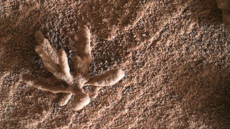 Mars Yüzeyinde Daha Önce Hiç Görülmemiş Çiçeğe Benzer Bir Oluşum Keşfedildi