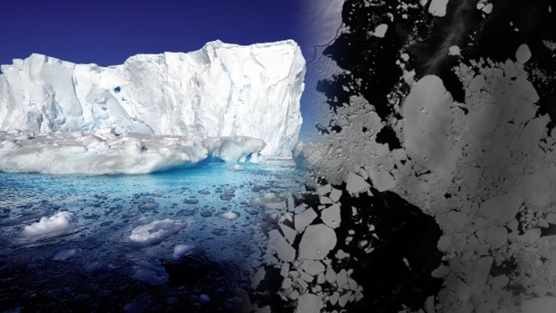 Antarktikada Şehir Büyüklüğünde Buz Parçası Çöktü: 