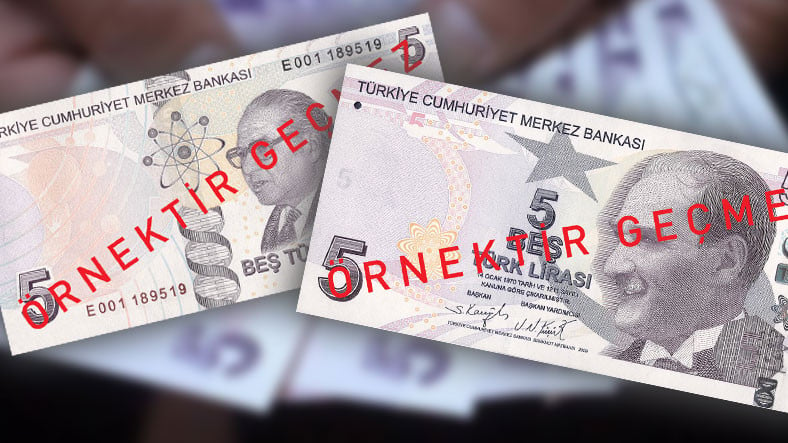 Yeni 5 TLlik Banknotlar Tedavüle Girdi: İşte Süreyya Hanımın Muhteşem Değişimi Dedirten Değişiklik