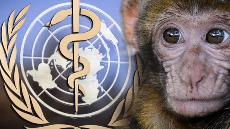 Dünya Sağlık Örgütü, Maymun Çiçeği Vakası Verilerini Paylaştı: 11 Ülkede 80 Onaylanmış Vaka Var!