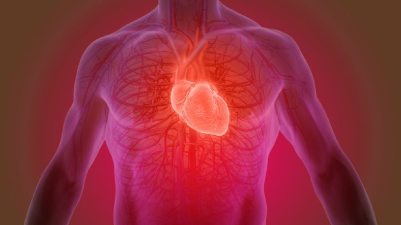 kalp krizini iyilestirebilecek yeni bir yontem kesfedildi milyonlarca hayat kurtulabilir 1655913629