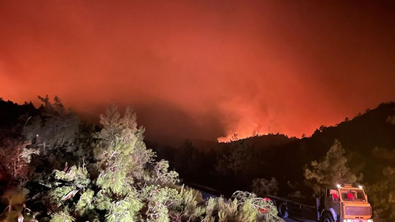 Tarım ve Orman Bakanı, Marmaris Yangınında Sabotaj İddialarına Yanıt Verdi: Bizim de Aklımıza Geliyor