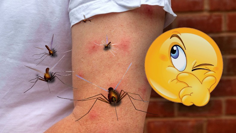 Sivrisinekler Bazı İnsanları Neden Daha Fazla Isırır? Bilimsel Sebeplerini Açıkladık