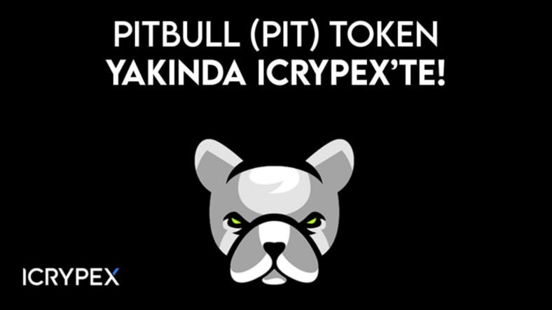 ICRYPEX, Pitbull Token’i (PIT) Listeleyecek