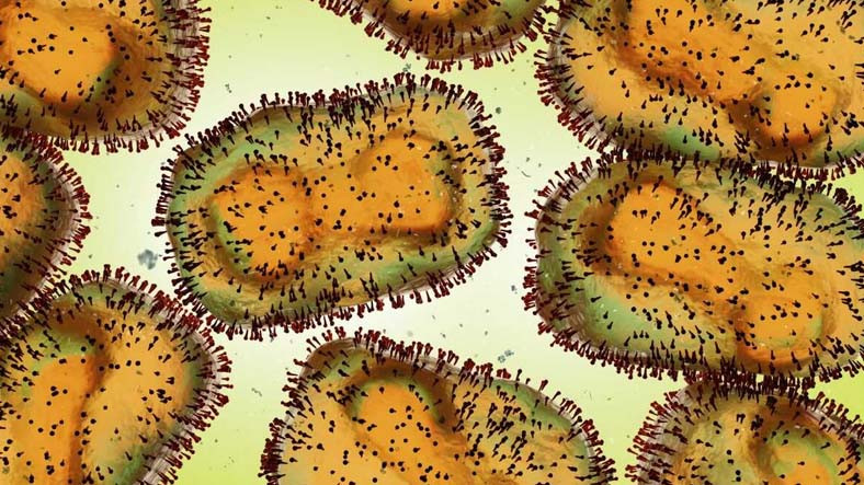 DSÖden Kritik Maymun Çiçeği Virüsü Toplantısı: Küresel Acil Durum İlan Edilebilir